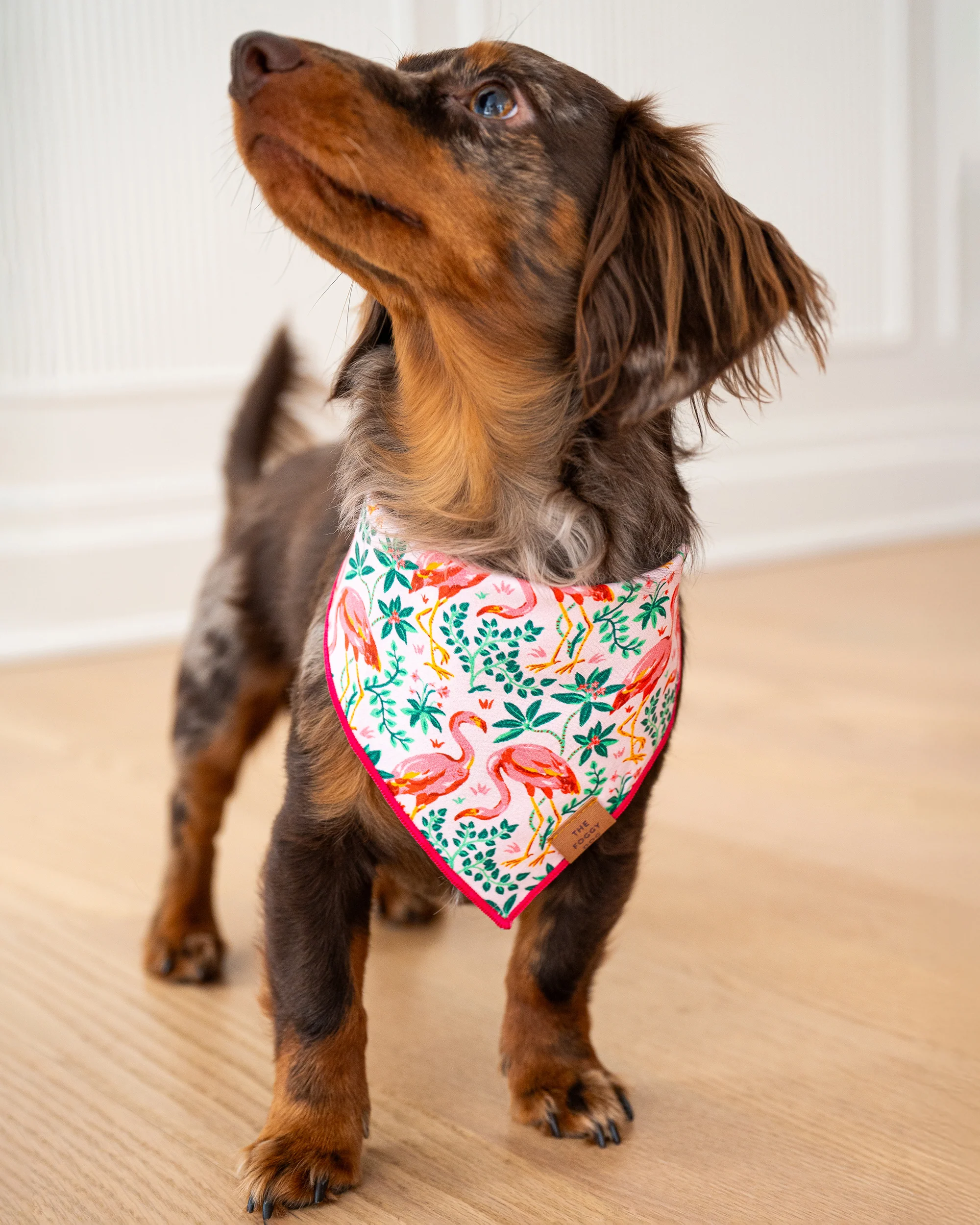 PF x The Foggy Dog Flock of Flamingos - Dog Bandana - Rose