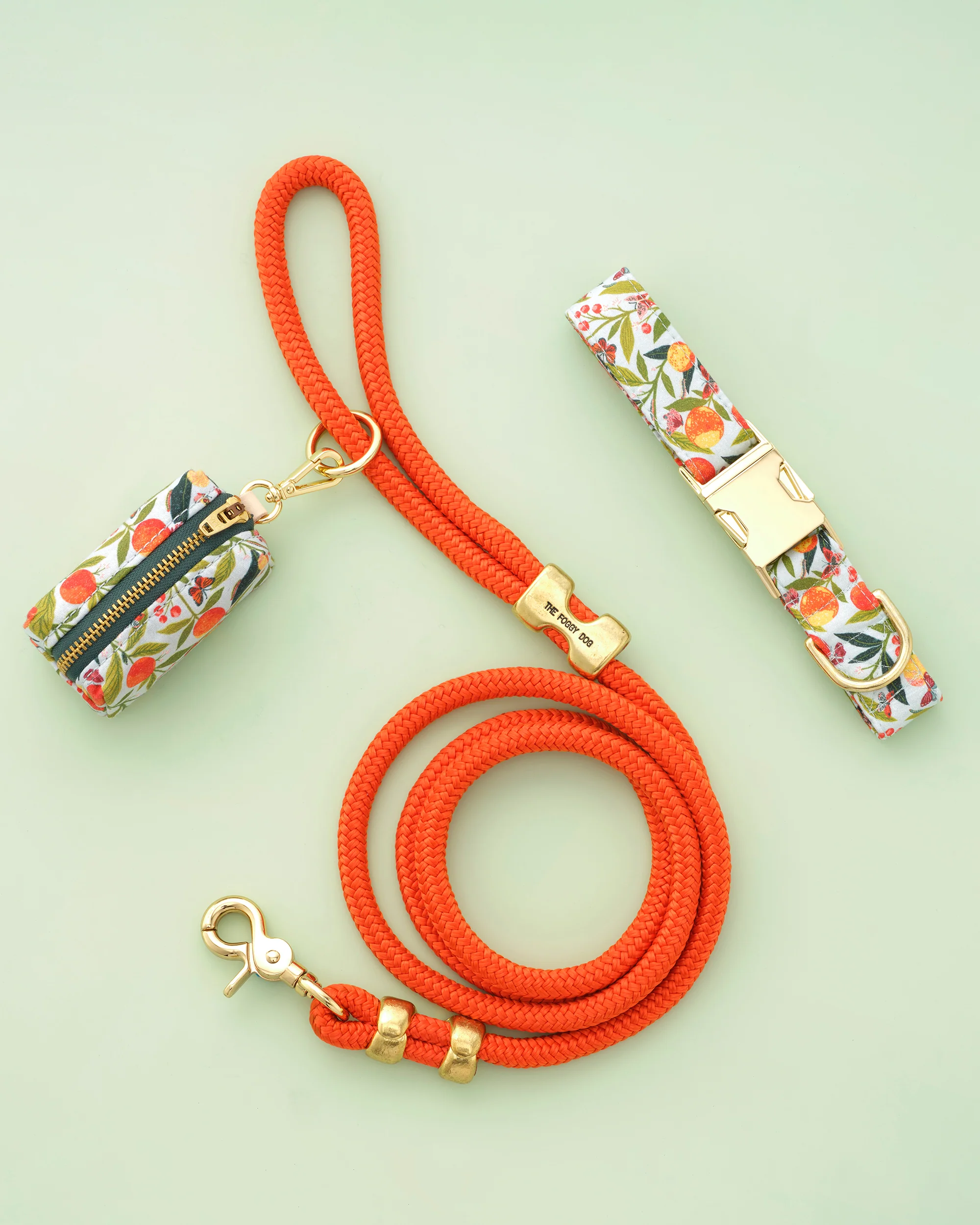 PF x The Foggy Dog - Marine Rope Dog Leash - Cider - Image 3