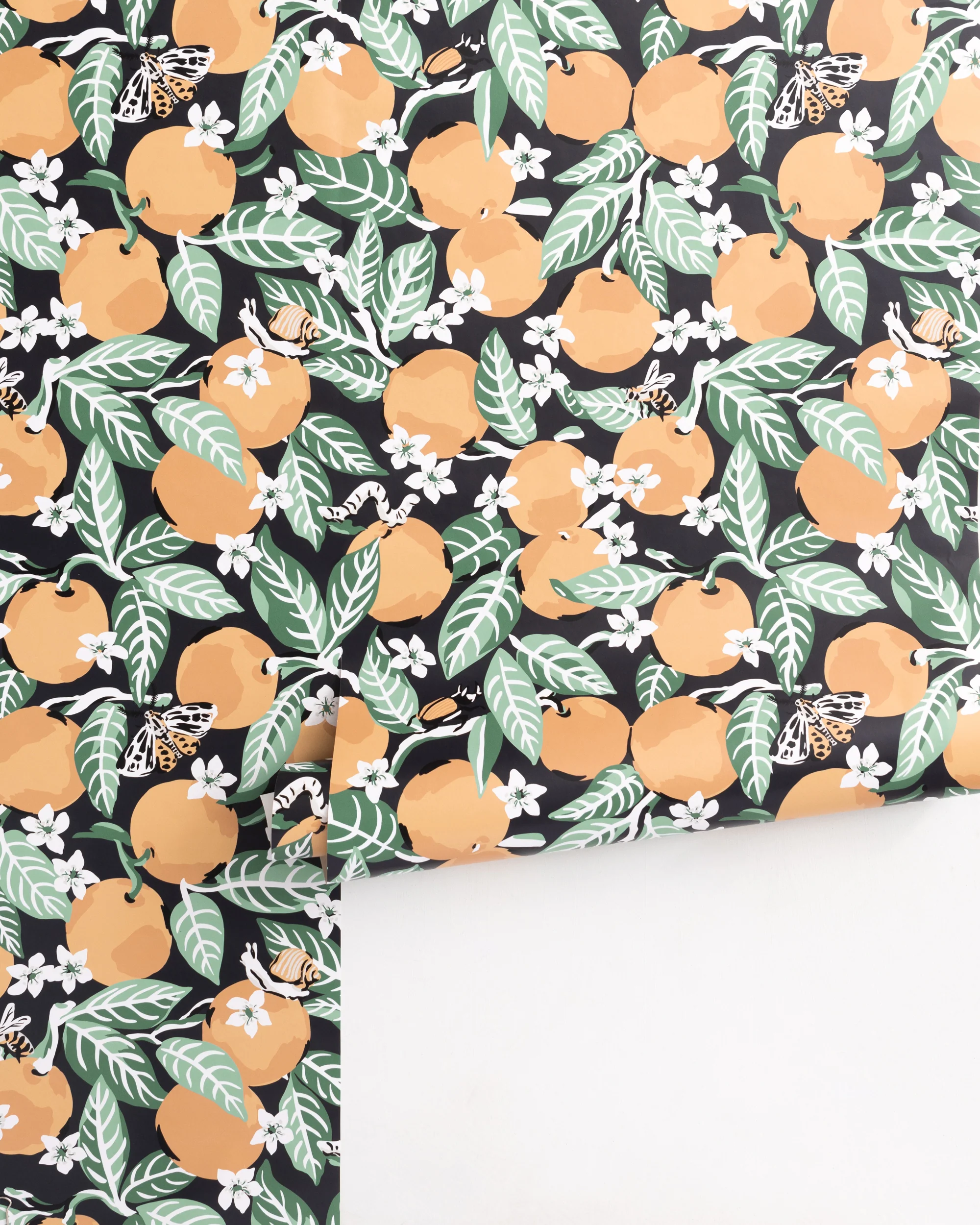 Orange Grove - Peel & Stick Wallpaper - Ink - Image 4